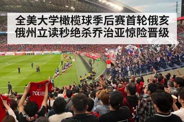 football stadium fans